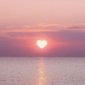 Meet your Posher, Kari